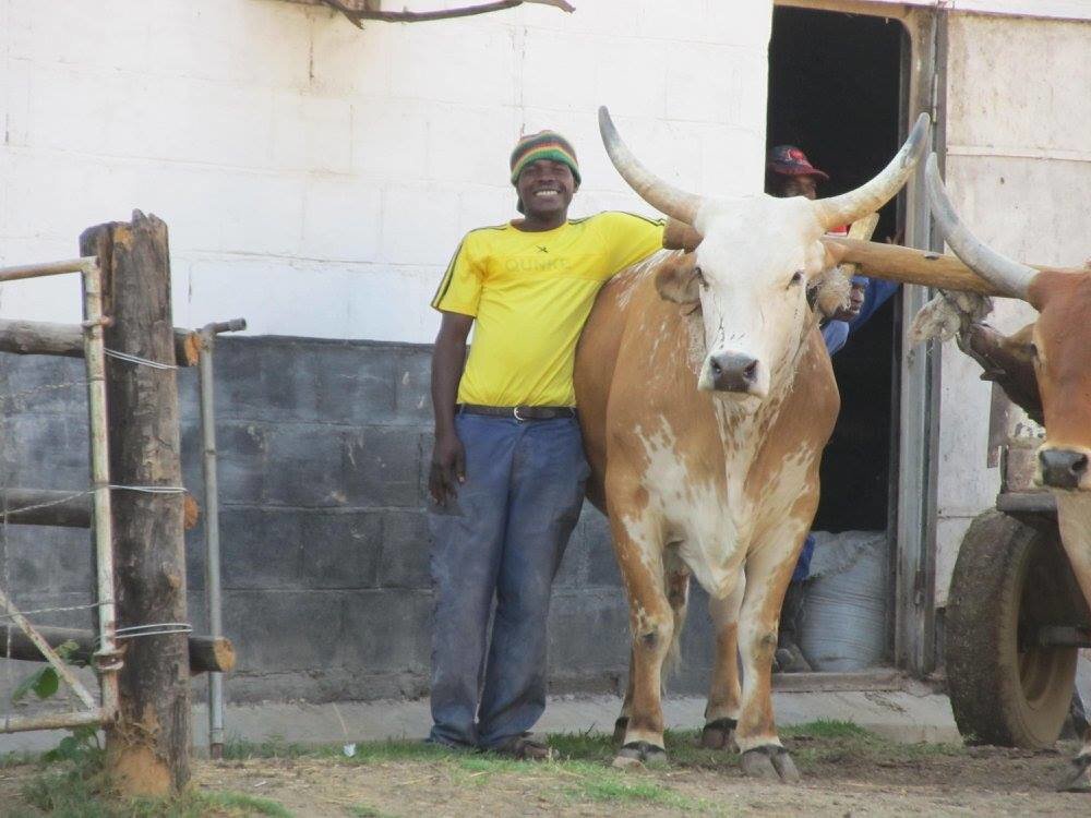 Vet Books for Africa