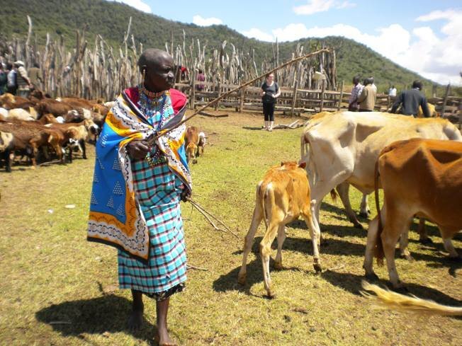 Vet Books for Africa