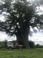 Croc Valley and South Luangwa