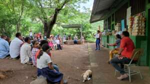 Trainings and workshops