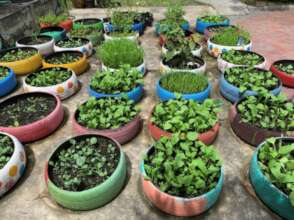 Vegetable Garden layout idea.