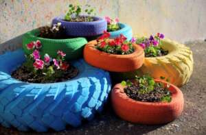 Vegetable Garden layout idea 2