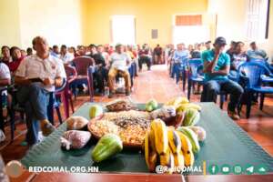 Open Town Hall Meeting