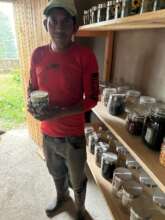 Safe storage of native seeds