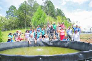 Ready to stock tank with tilapia