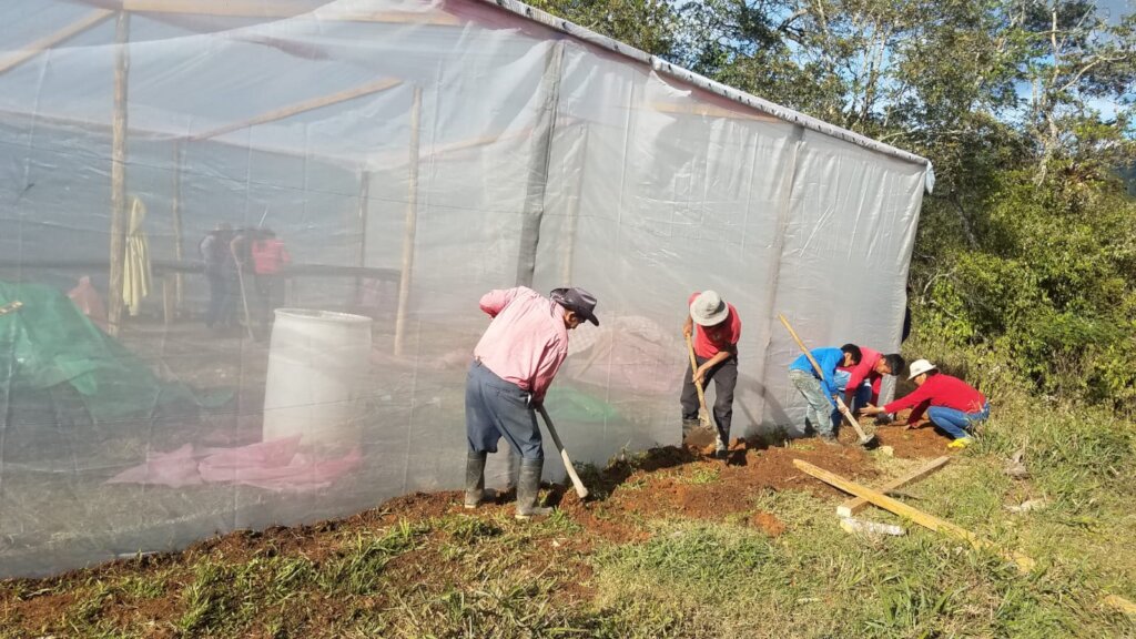 Climate change resilient families in Honduras