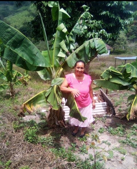 Climate change resilient families in Honduras
