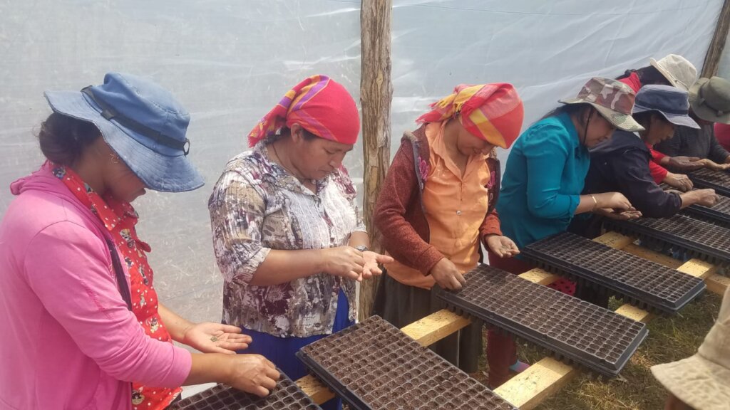 Climate change resilient families in Honduras