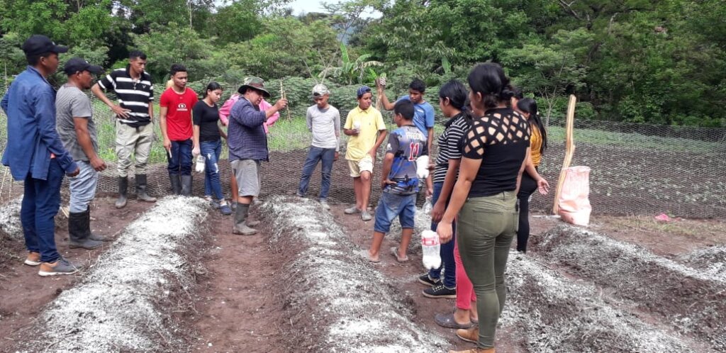 Climate change resilient families in Honduras