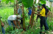 Climate change resilient families in Honduras