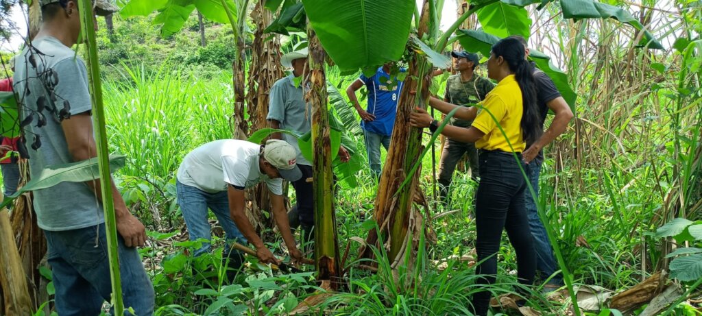 Climate change resilient families in Honduras