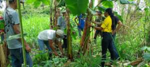 Climate change resilient families in Honduras