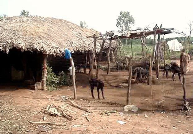 Providing healthcare for villages in rural India
