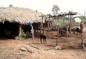 Views of the village