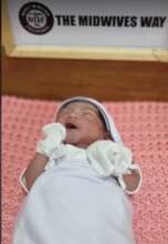The Midwives Way