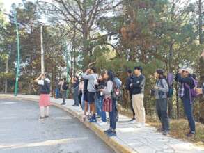 Birdwatching in the mixed temperate forests