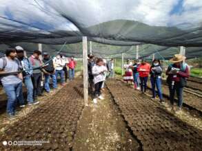 People learning how to produce plants in nurseries