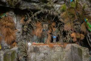 Altar at a Tsotsil Mayan ceremonial site
