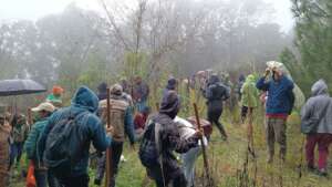 Social participation is key to recovering forests