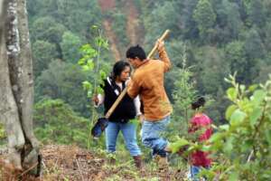 Families play an important role in restoration