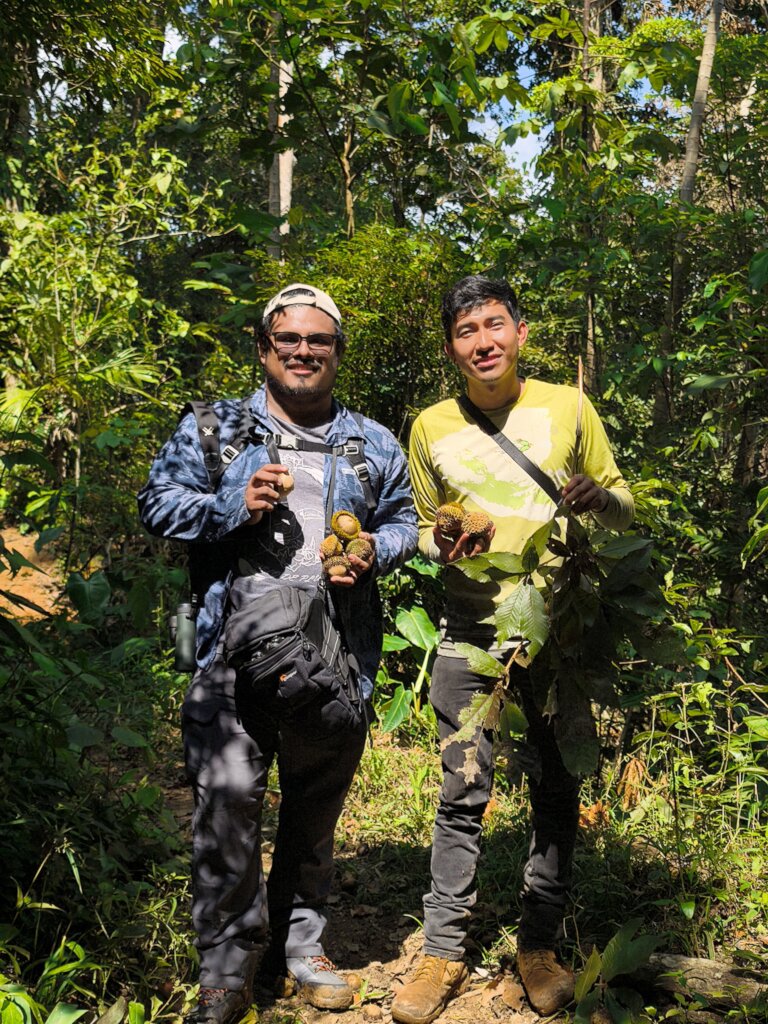 Mirangel and Cristobal are Guardians of the oaks