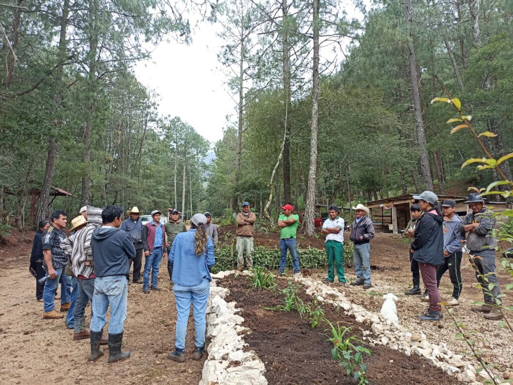 Women creating gardens for pollinators and birds