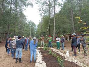 Women creating gardens for pollinators and birds