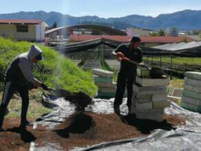 The team working at the nursery