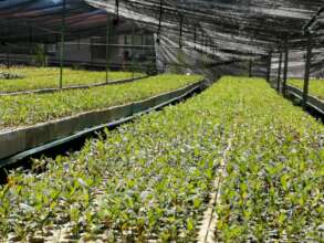 Moxviquil-Encinar Nursery