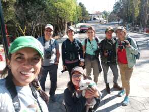 Women watching and monitoring birds