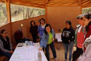 Women planning for forests and biodiversity