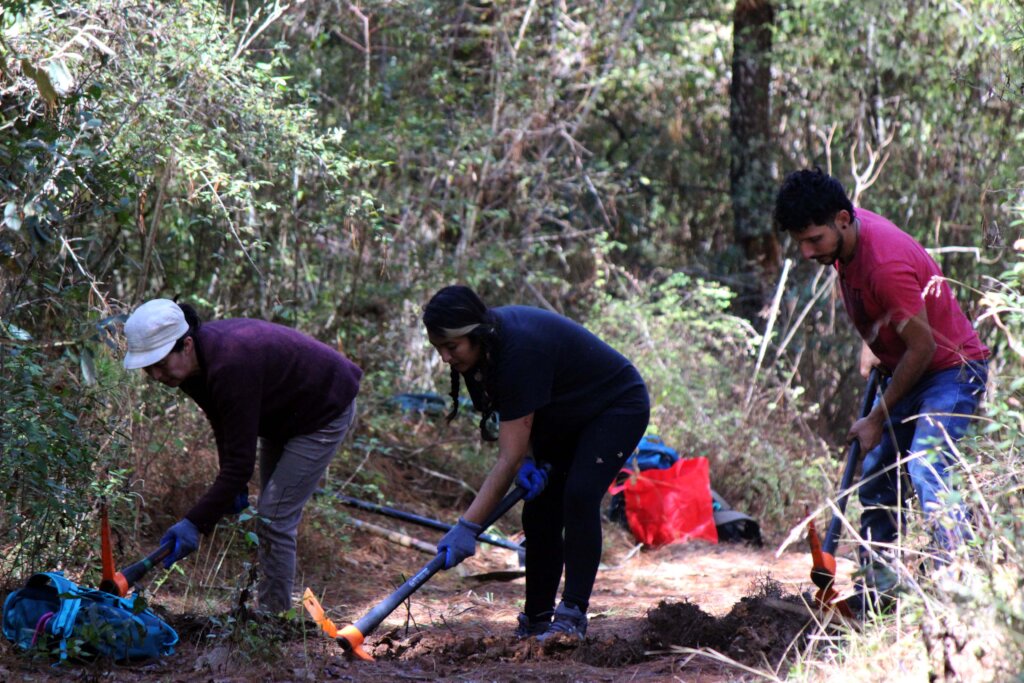 Women restoring forests