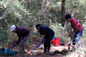 Women restoring forests