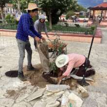 Neighbors of the urban park participating