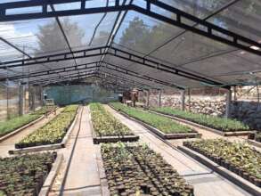 Moxviquil-Encinar nursery