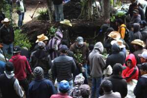 Community commitment to recover the forests