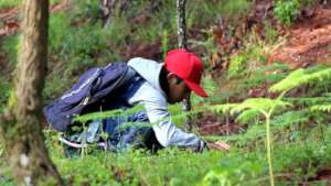 Young people actively planting