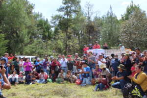 A call for planting native trees