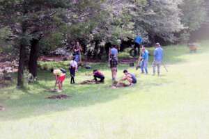 Digging holes for planting trees