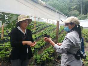 Women propagating plants