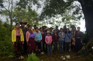 Significant participation of indigenous women
