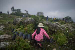 Planting for a better future for people and birds