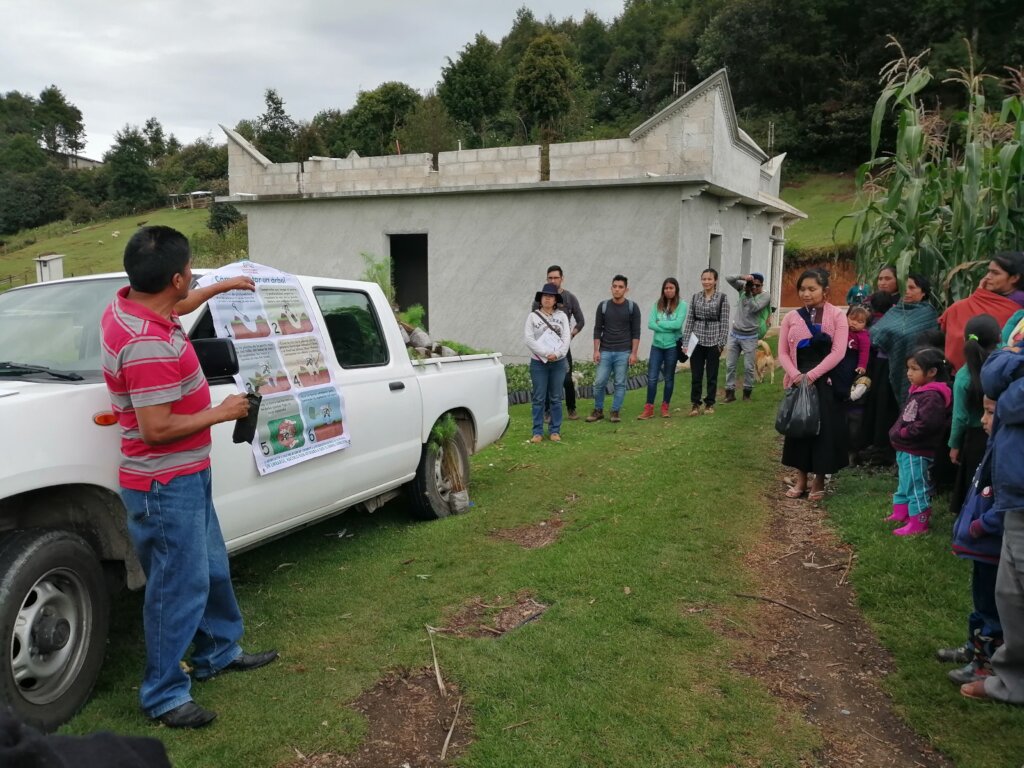 Planting trees for people and birds