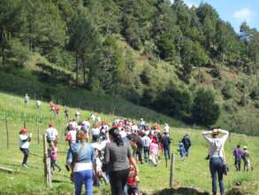 On your marks, ready, go reforesting!