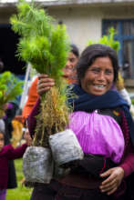 Tsotsil indigenous woman happy to receive plants