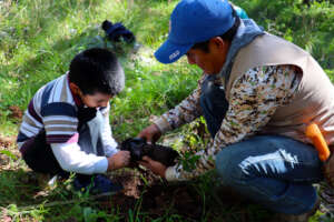 Father and Son, planting trees