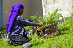 Indigenous women preparing for planting