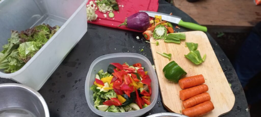 Healthy Mothers Program