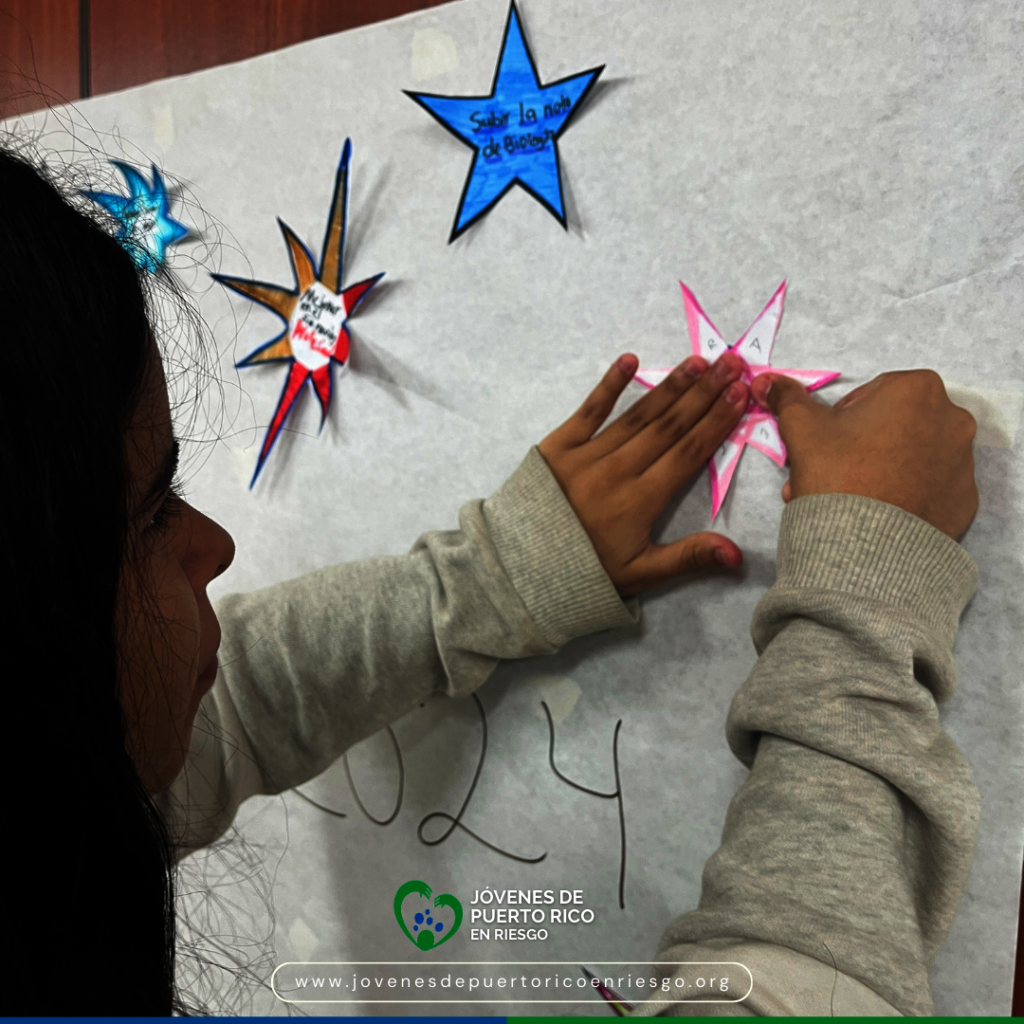 Help Youth Stay in School and Grow Academically