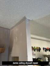 Ceiling repair